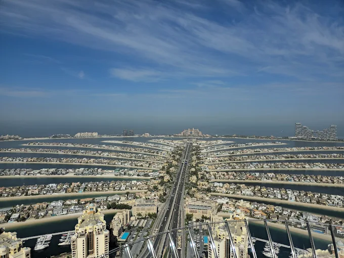 The View Palm detail 1